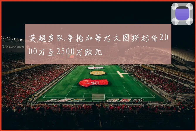 英超多队争抢加蒂尤文图斯标价2000万至2500万欧元